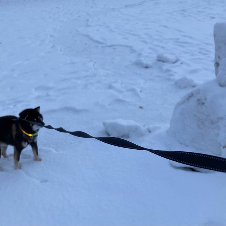 881d5ff7 8f17 4efe 81dc af77ba971c9a 1670108027611