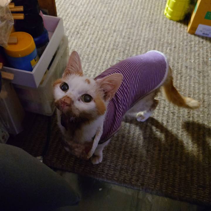 881d744a 4610 49f2 a6b7 94f2708a97b8 1774391693647