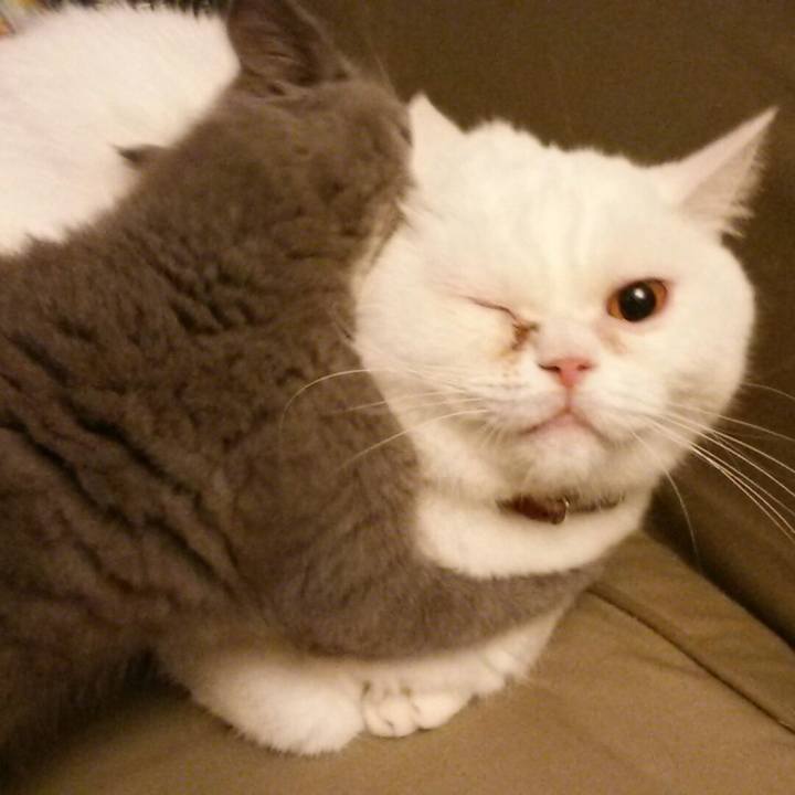 881dab5e 750f 4bed 8b57 cec2cfa7f5ad 1532557386646