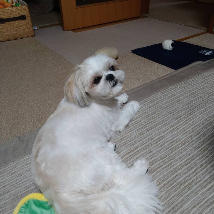 881dd1d3 f5eb 4df0 9cb6 1e8d3d93bf74 1634774899831