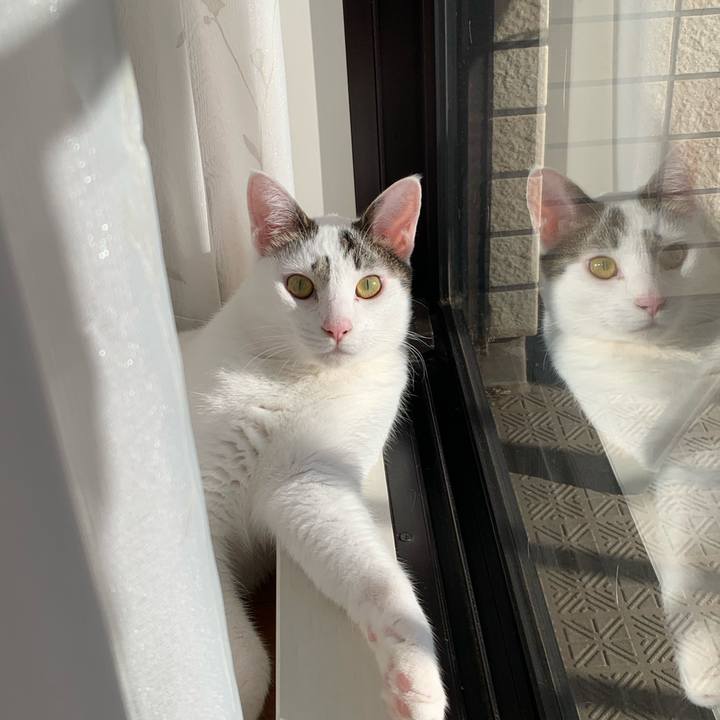 881de80b 7660 4927 8eb6 3e6fee109478 1613550737200