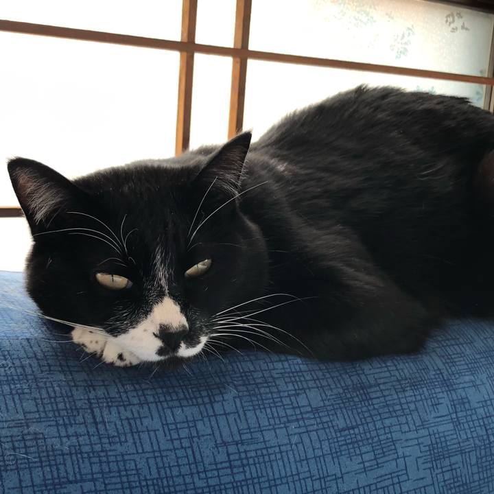 881e17a8 be18 4461 97a0 5cf6316820ae 1652758425809