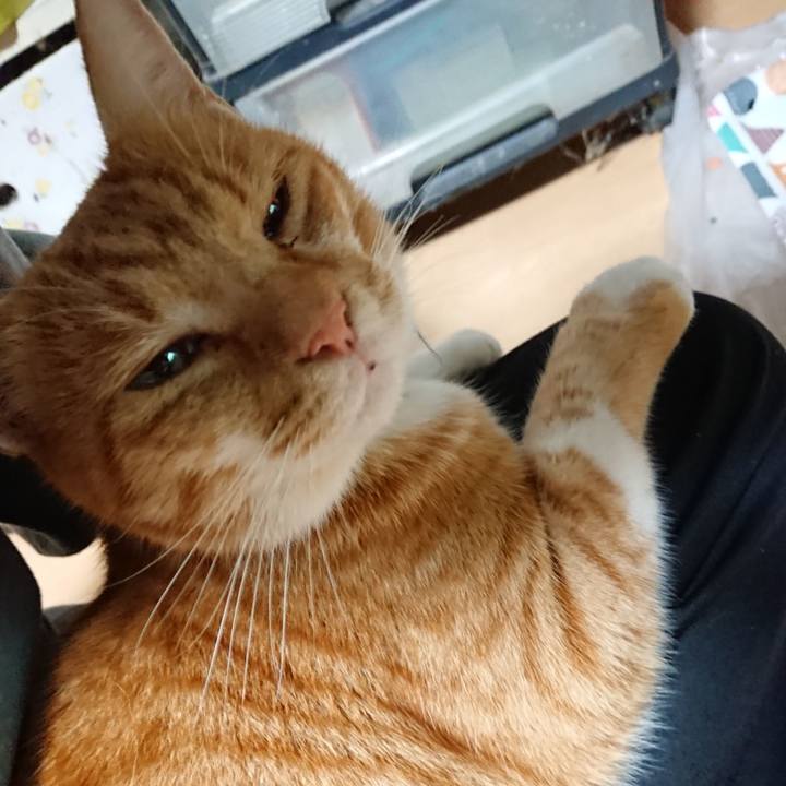 881e257d 4cae 4d8d 93a6 90f366a58511 1601372006860