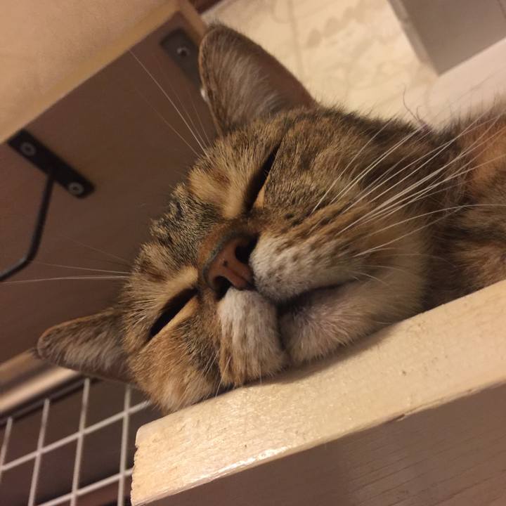 881e27eb 2846 4ab5 8806 105a8deeae57 1567523824815