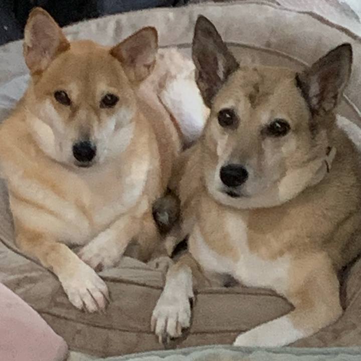 881e2d32 a2a0 48c6 ac37 2dfd5952b8fd 1728099246627