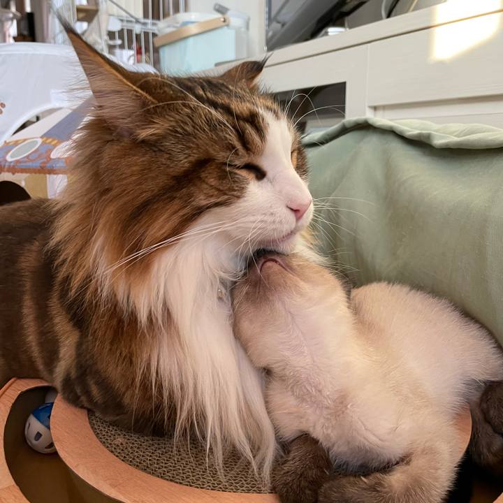 881e3deb dc59 4deb a1fb b716a30e7b65 1688813257332