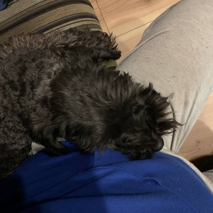 881e5964 f789 4bd0 a611 41d57f75cd5c 1609890897458