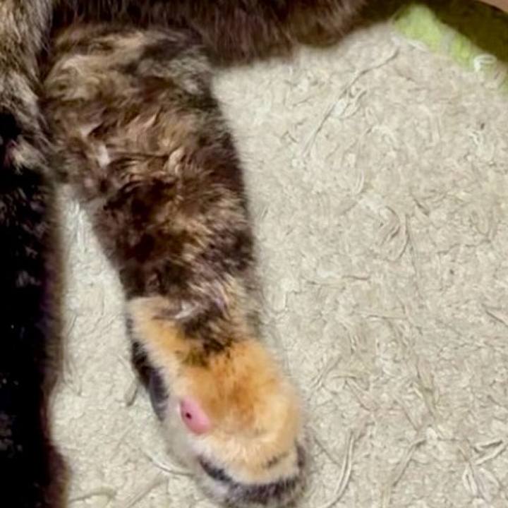 881e6cd5 f899 44c7 9ed6 dad1e7e0eb5d 1760355300734