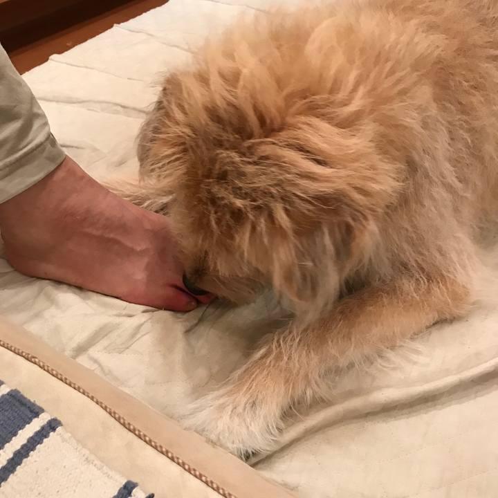 881e80b8 9ca6 45b1 9cdf 9692014abf66 1562340229494