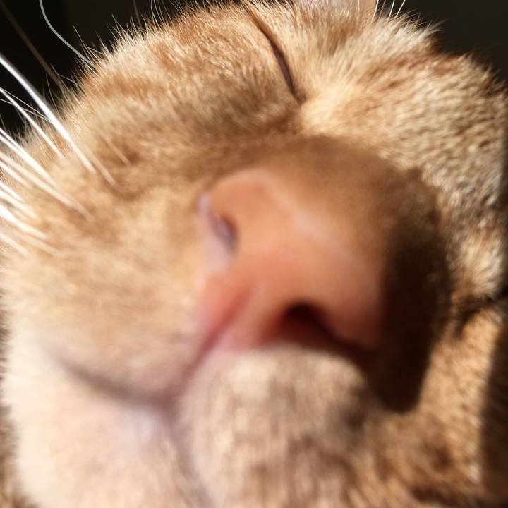 881e8d73 5cdc 46c7 b047 13ee86e31668 1512646222635