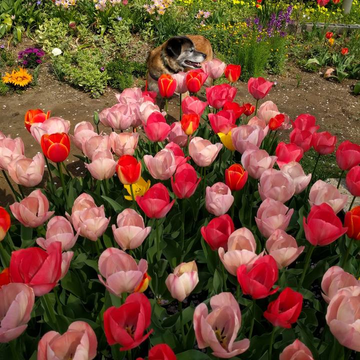 881ecc61 308a 44f0 9ad8 43c3486bfe07 1522717707434