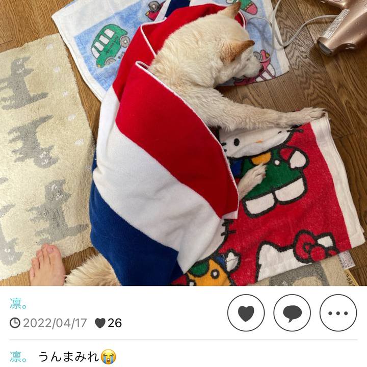 881ed4f9 bdc0 4661 b9a0 dc0b826a2919 1681824614295