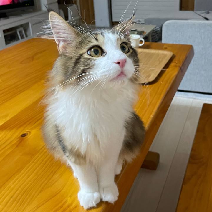 881f062d 21e4 4283 9b43 e792e9876b6f 1637450020333