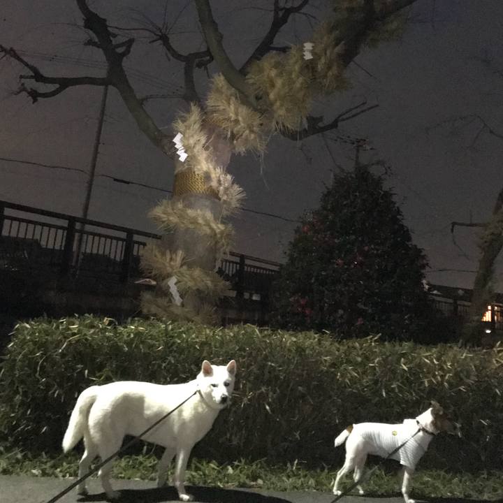 881f1409 58fa 41b0 9c8a a036dd0daf46 1515317300640