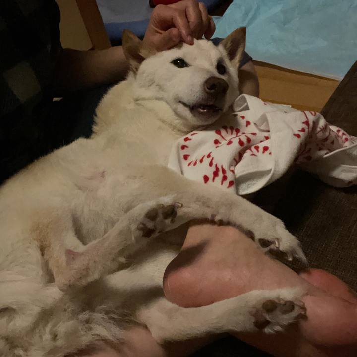 881f5867 a245 4eea b260 e27b164914c1 1667284631619