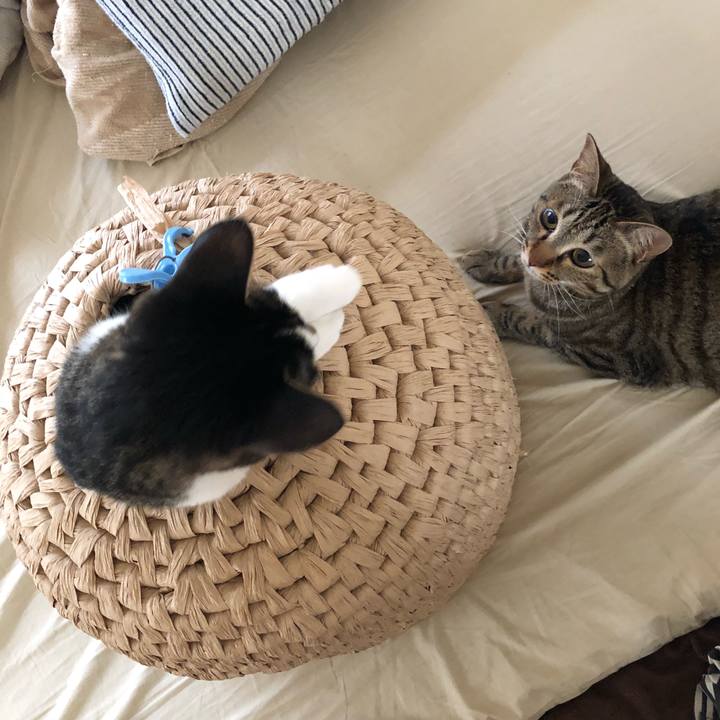 881f6cdf e711 4b97 a02a 05bb916745e0 1527316816111