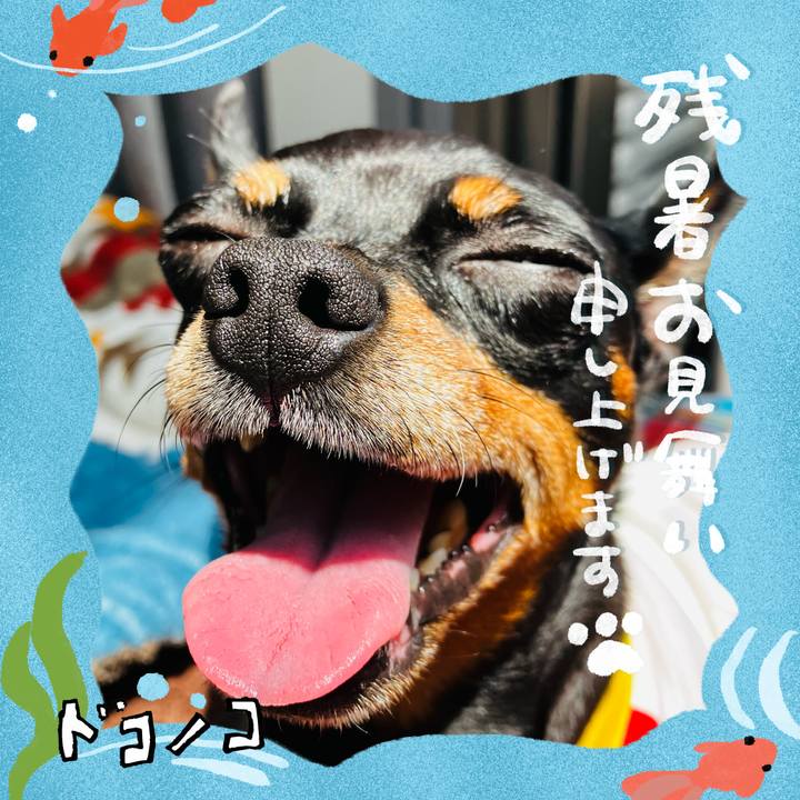 881f7629 08bf 498d bd46 44404b1d2725 1723208732213