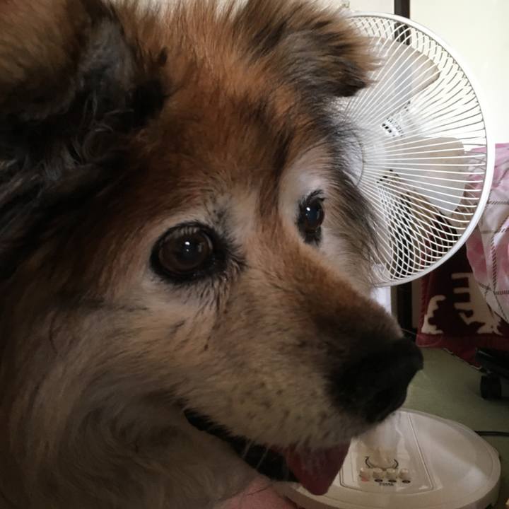 881f78cc 8155 4d76 9853 b5dd356a6d74 1577157423920