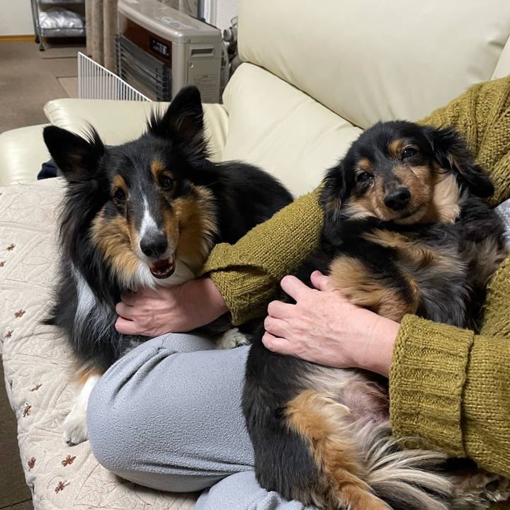 881f817a f9ce 4541 9a6f 38c9f9559e2b 1644840330488