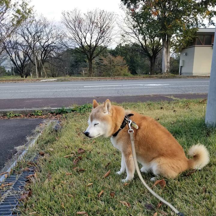 881fa5f3 417d 44be a162 b7d1a756849b 1698045023340