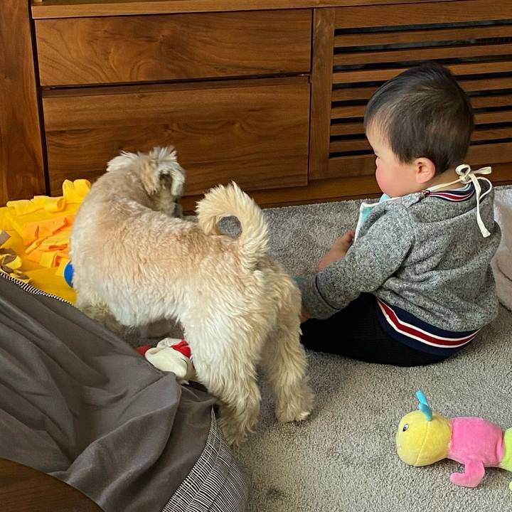 881fa666 368b 4072 a4d5 91fcd0f0d33e 1646575519066