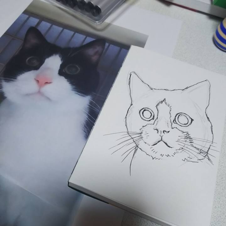 881fc920 6320 49b7 882c c8e748c09722 1572350021067