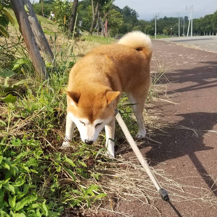 88204bc4 805a 44de b381 cbe104639ed0 1567578995342