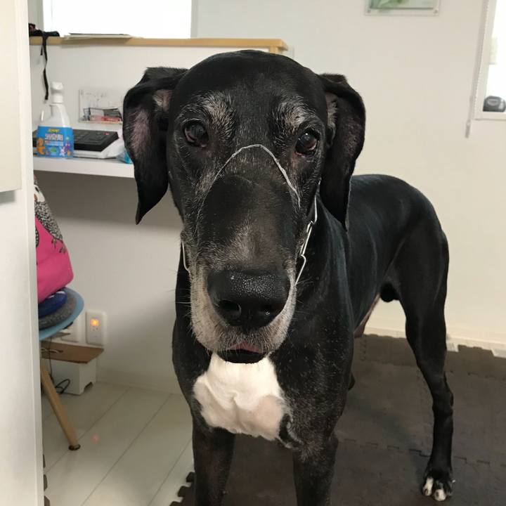 88206aae 0168 4ab4 a493 38feabcd55a7 1537392819065