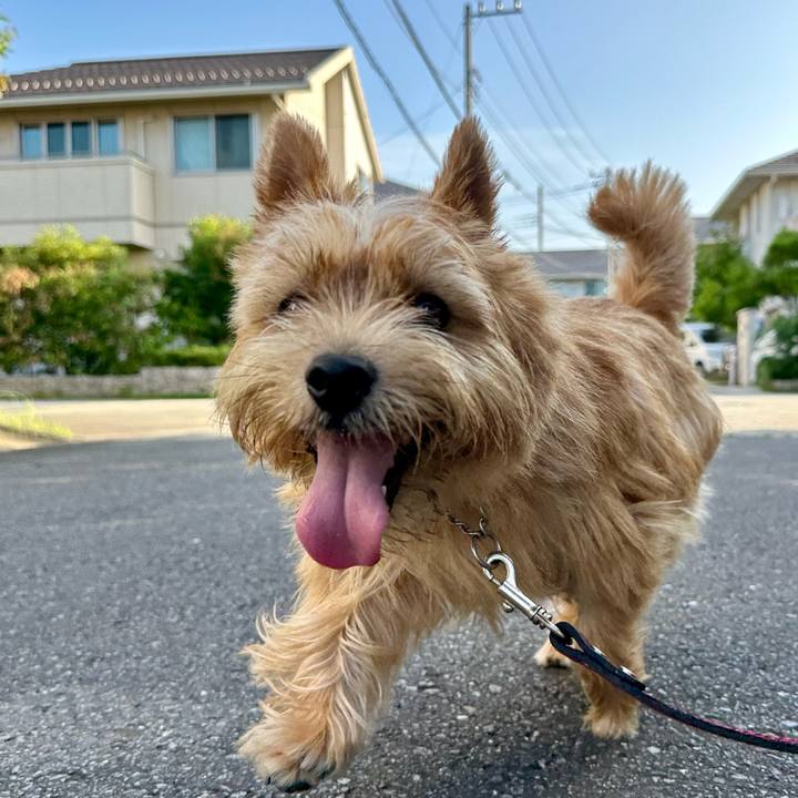 88209c9b 46cb 4337 bd7b 8b91e71a41d9 1752164158359