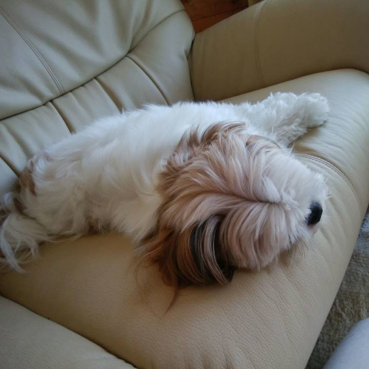 8820b0c1 513f 49e7 b12d 27c19ca0ec07 1524180102423