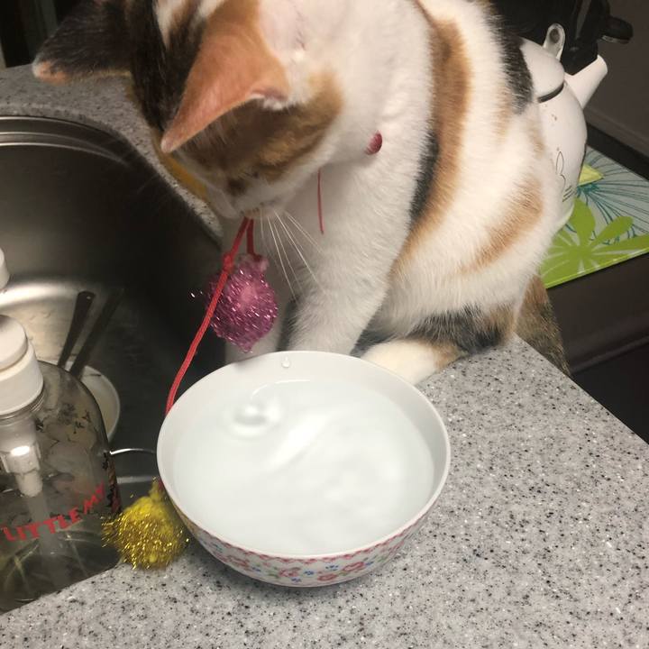 8820b59f d42f 4abe 832c ebf50ad9d9f3 1570145854838