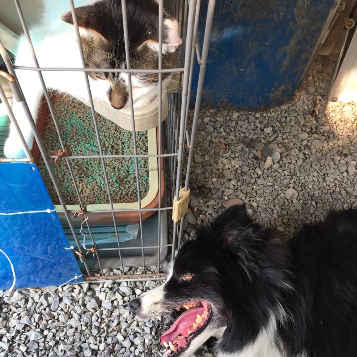 8820cdd6 0a7f 4fd3 a456 47aa29bd2cc7 1564706104729