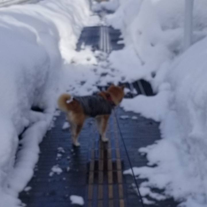 8820fe42 7d10 462a b7c8 34dc0c8de0da 1739856046381