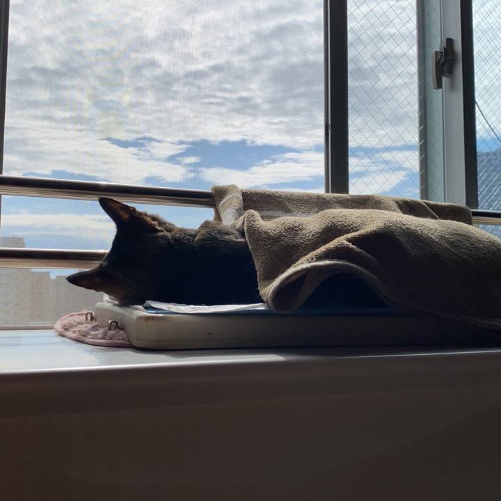 88212a94 0d8f 4e4d 8828 c9ab44b3708b 1677134270746