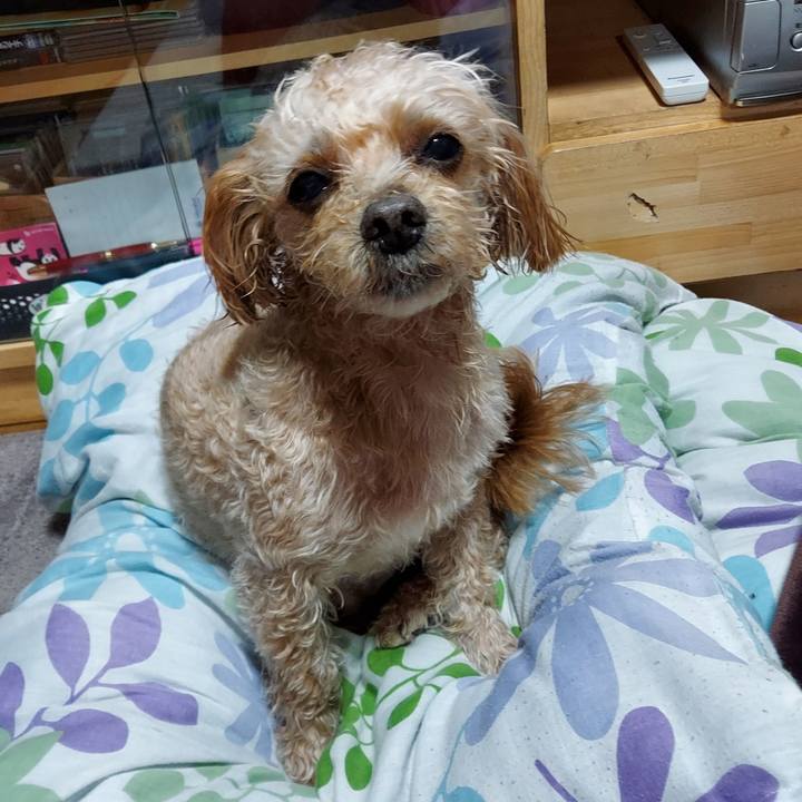 882133d9 955d 413d bd2c 1e2da1e0a8f2 1644057152177