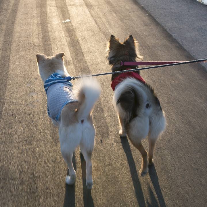 882153d9 2a59 43f7 9844 3056c4d4b325 1553467268083