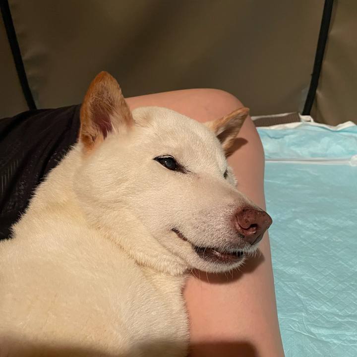 88217b20 f208 493b 8f8d 9ef64febdf28 1656856140308