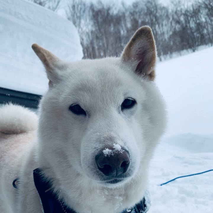 8821c632 a0de 4143 84b9 e6d5fa7154f7 1645407808815