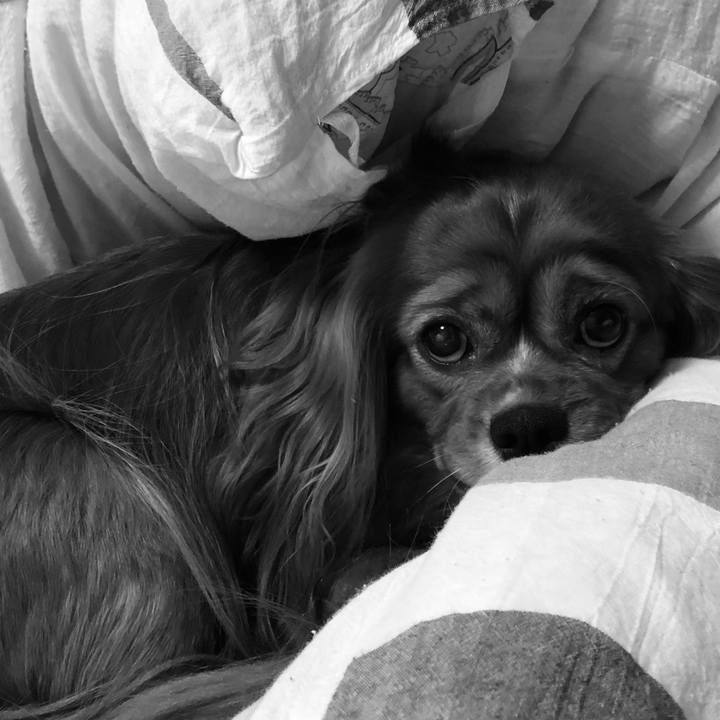 8821ecce 46b8 4dd5 8552 fc6d6b771b26 1603200026259