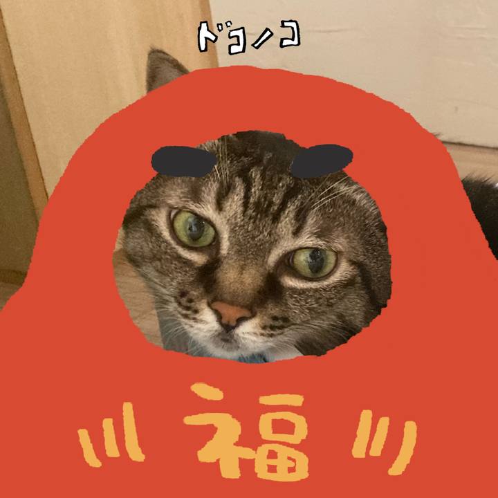 8821f3e3 0236 4d6c b806 1aa2eb16ce7e 1771844788273