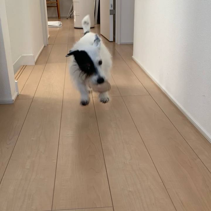 8821fec9 e467 4d05 9b3c d84481d7e17c 1690158280005