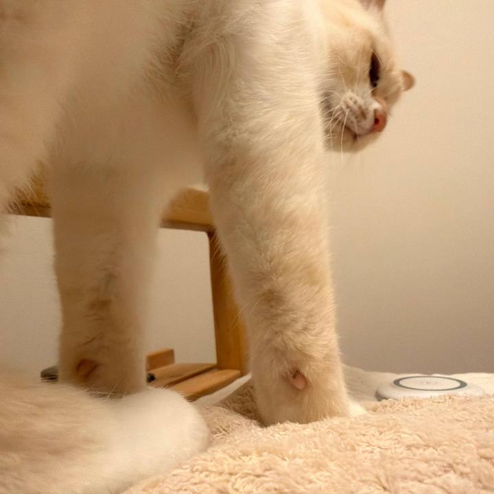 88220d08 7715 4c64 942c 8b2cc99c0df0 1769072110902