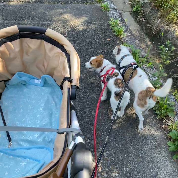 88221730 b64a 43e3 afe6 8f6606c25c36 1626489156972