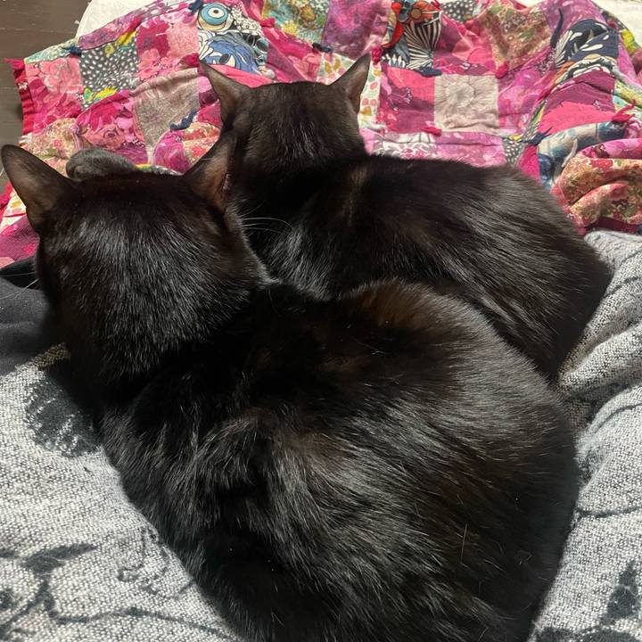 88223af2 cbd8 4f2e 9dd4 d553021fafd2 1770253033077