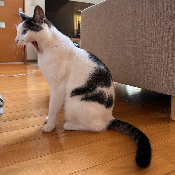 88226da7 5907 4f2a be21 2480384559bb 1750320905475