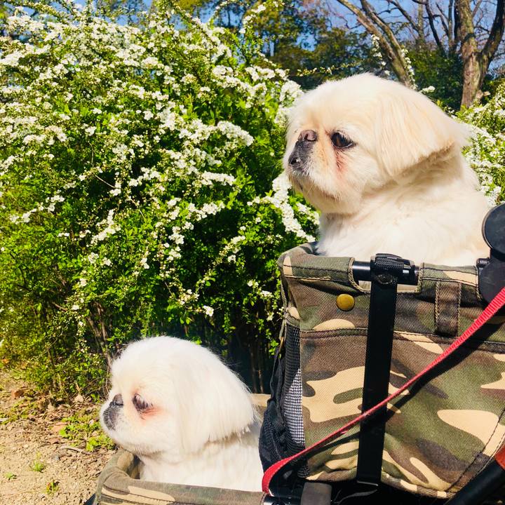 882272cc 7a93 4def b260 ffa9bf127539 1584800038160