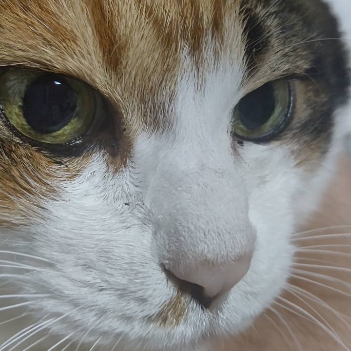 8823388b 37a6 4f00 930b fae7fbdb96ac 1636368053105