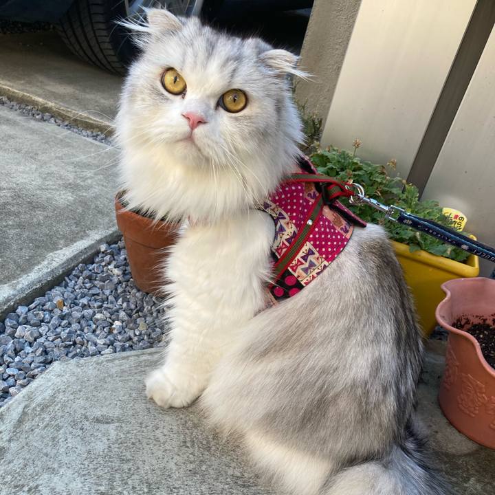 88234529 37d5 4551 9bc8 d2c44eb47b98 1691401734326