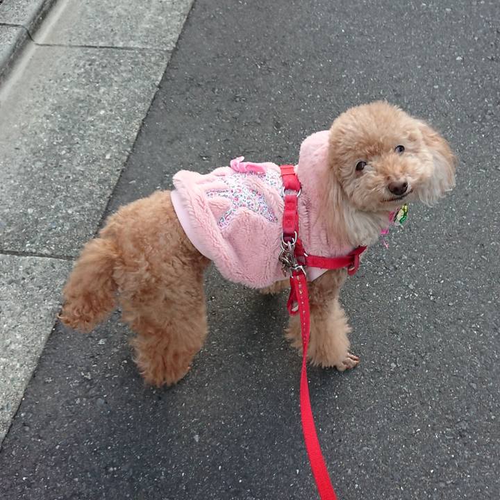 88236dc9 15e2 43f6 a6de f3c1cae45007 1546341143243