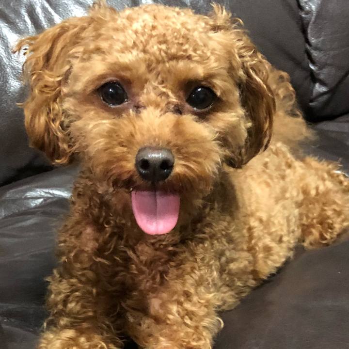 8823be81 484f 4ca4 a1b9 7803dc3a7900 1526691978156